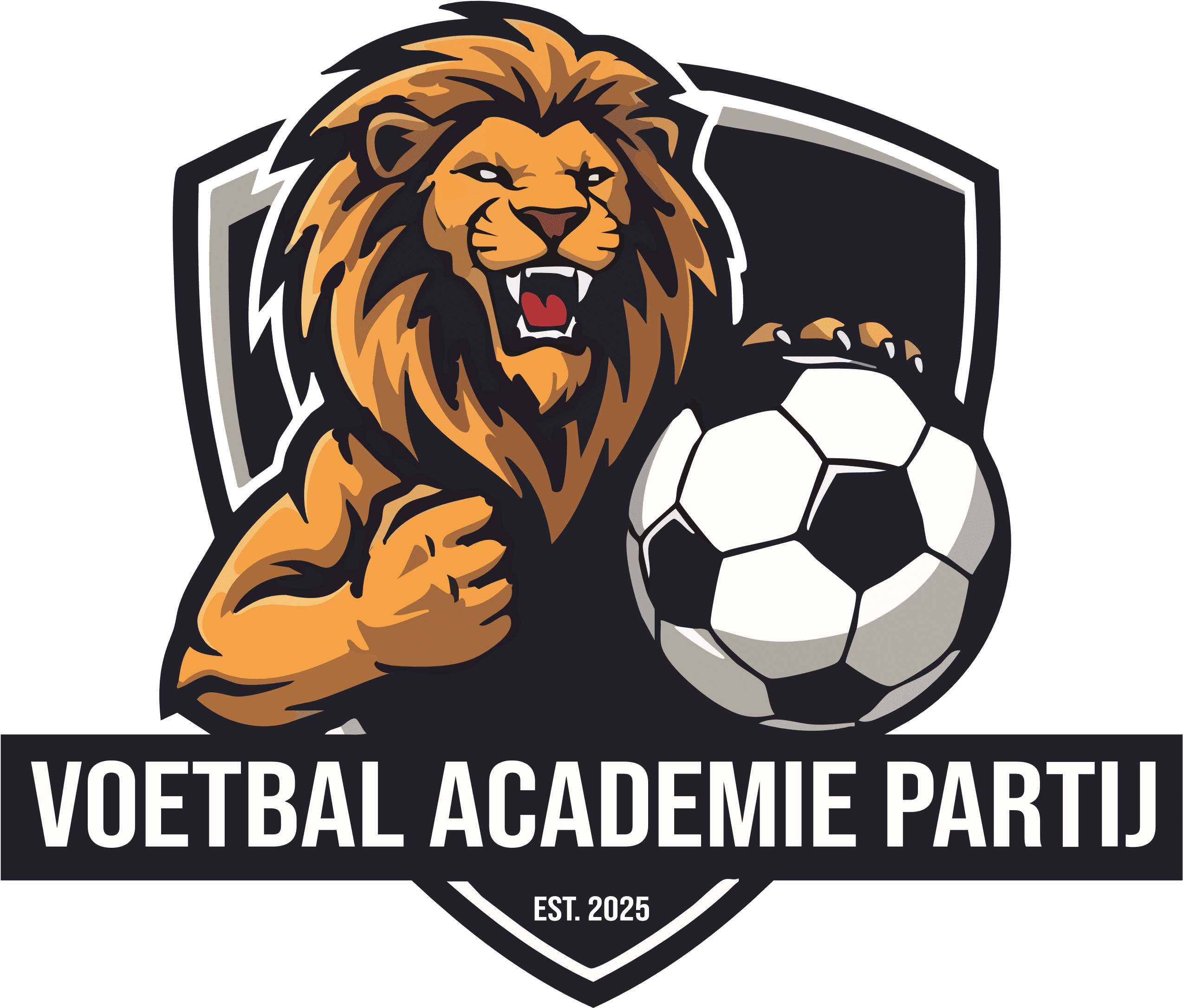 voetbal academie partij